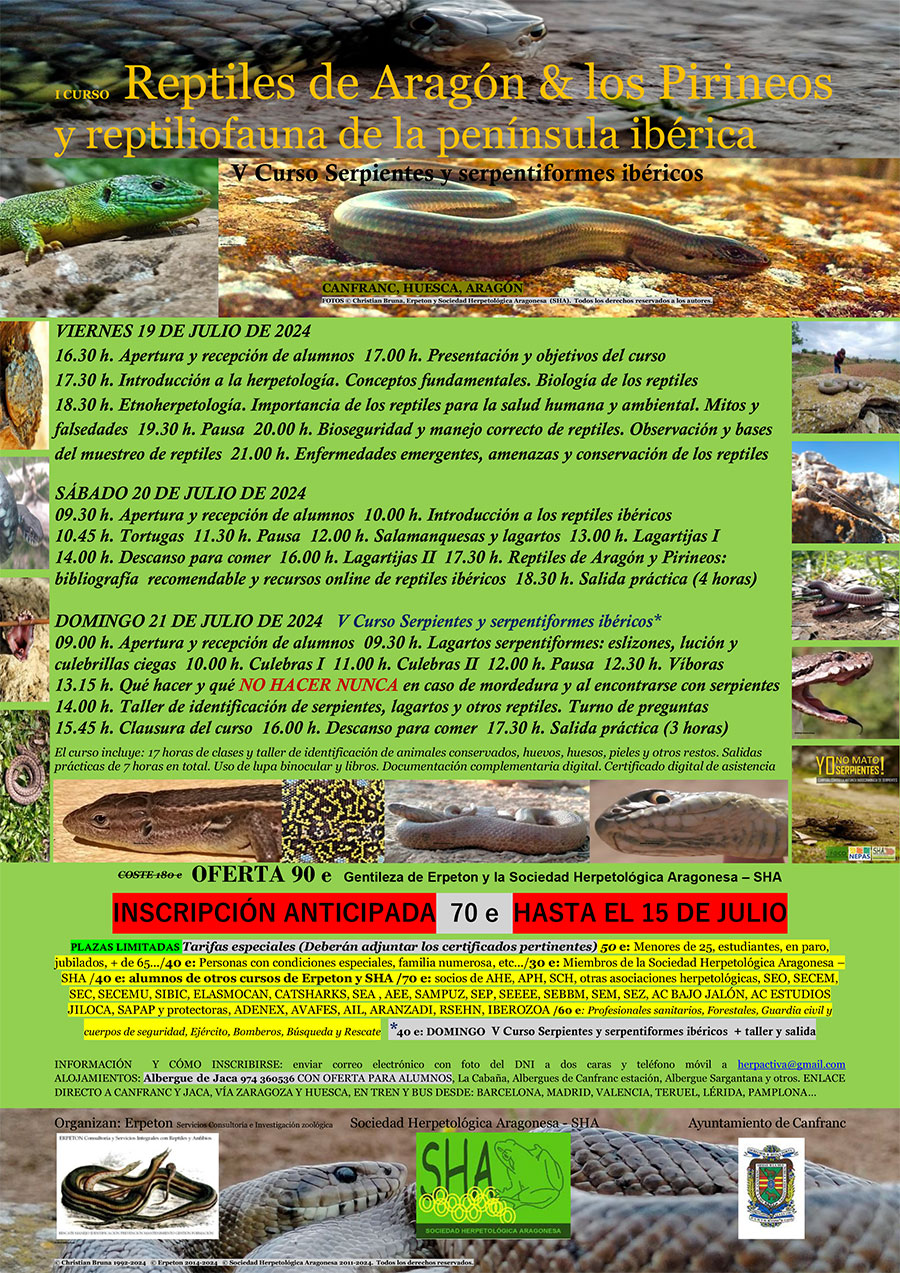  I CURSO Reptiles de Aragón & los Pirineos y reptiliofauna de la península ibérica