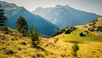 Campeonato del Mundo Masters de Carreras de Montaa de Canfranc